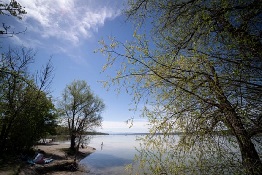 Climate crisis is suffocating the world’s lakes, study finds