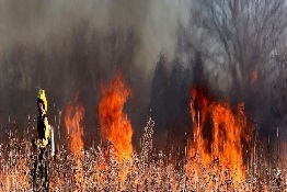 Number of Wildfires to Rise by 50% by 2100 and Governments Are Not Prepared, Experts Warn