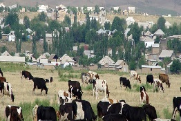 Meat Industry Faces Ruin if Slow to Adapt to Climate Change